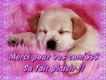 allez y c permis