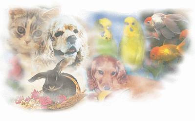 quel est ton animal préféré???????