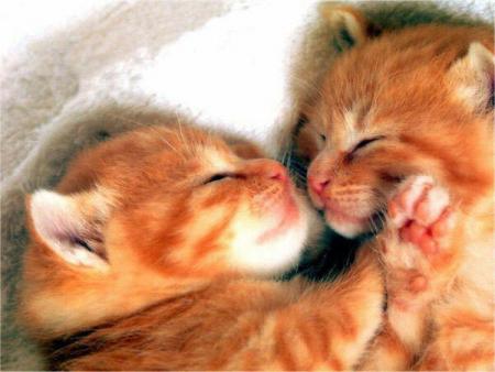 tro mignon